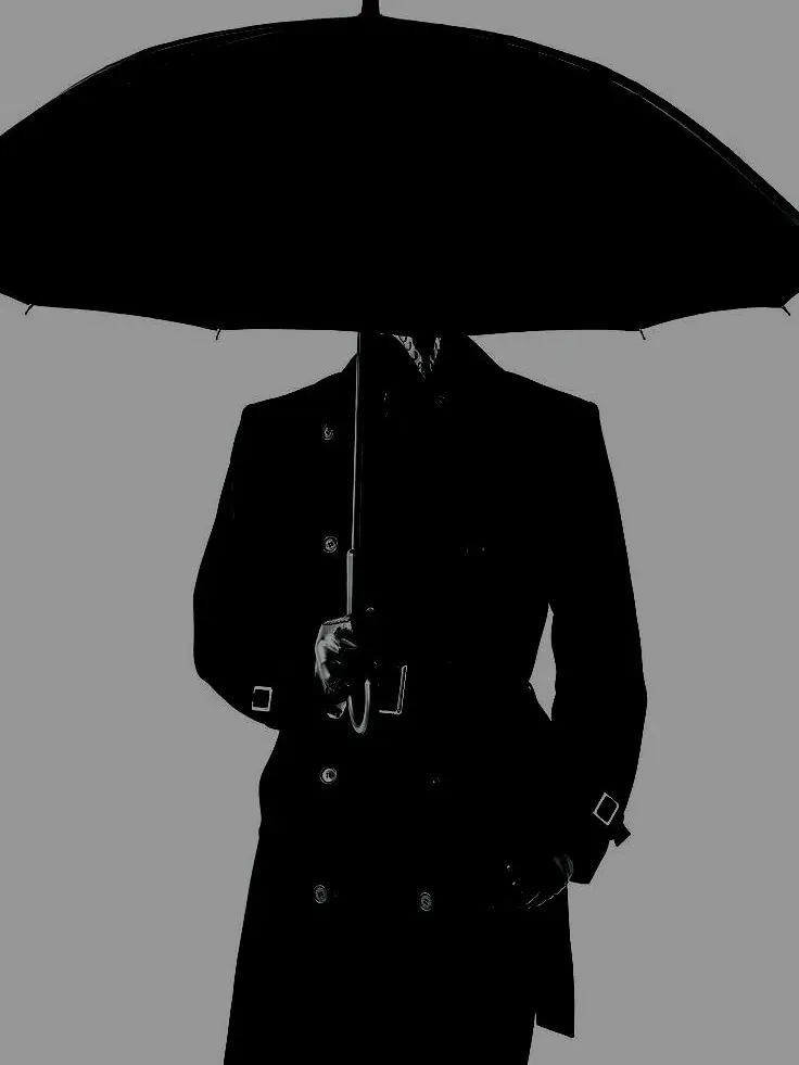 VividBrush의 Carnon