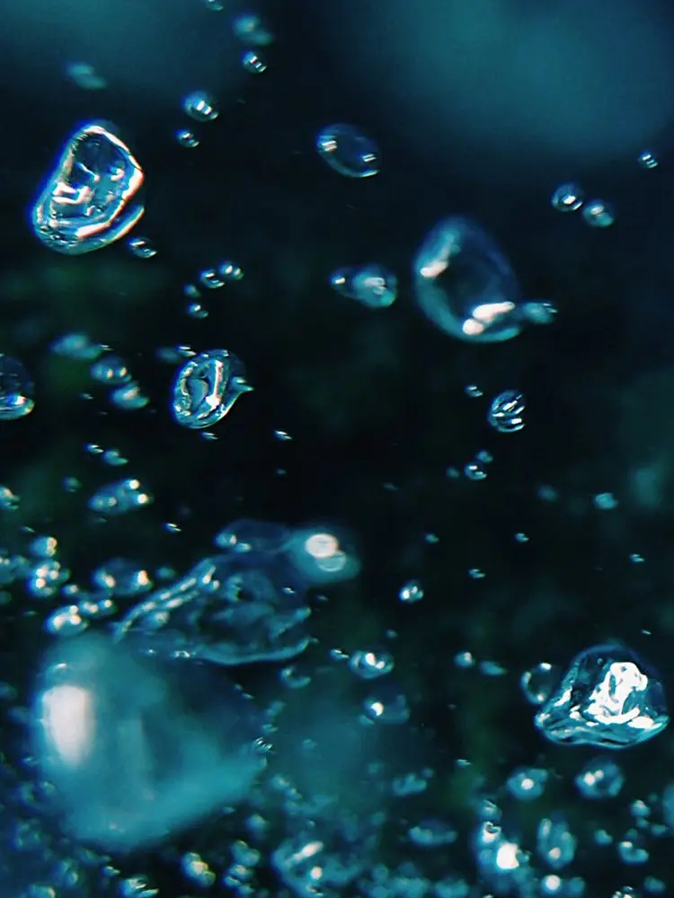Sh1f0nc4ke의 ~ Entanglement.