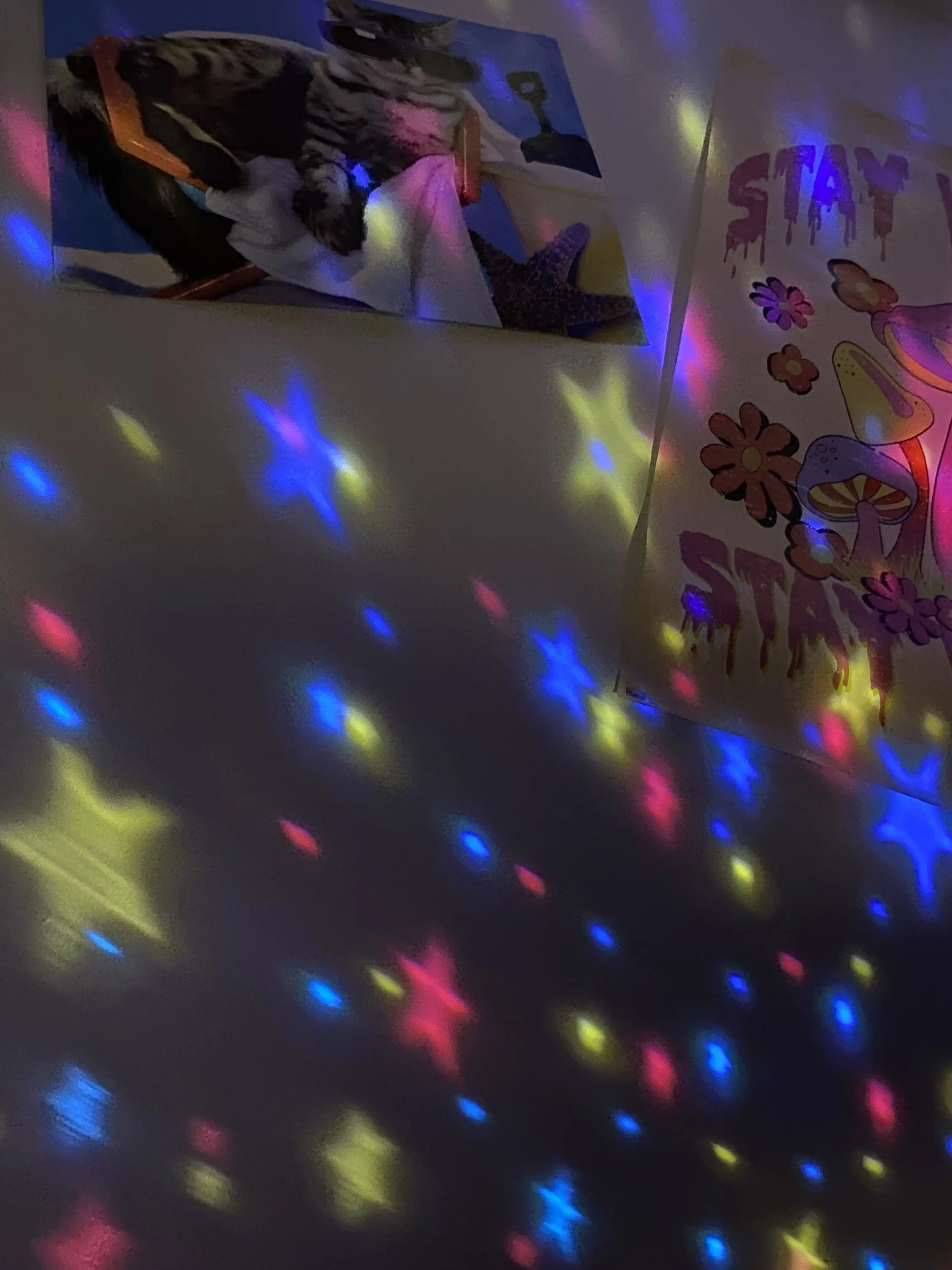 Moonlight420의 Magic inn