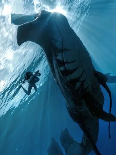 PinkGorge6097의 『 I see you 』