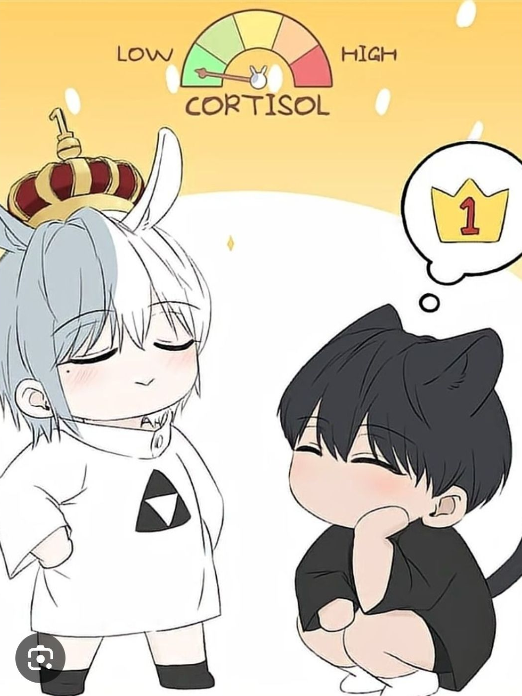 갠용 안곰툰♡♡♡ 대표 이미지