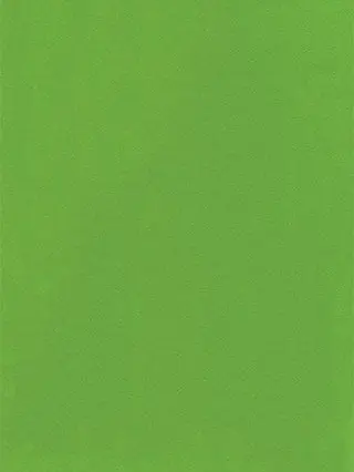 nikonikochan의 人気者のじゃぱさんの裏