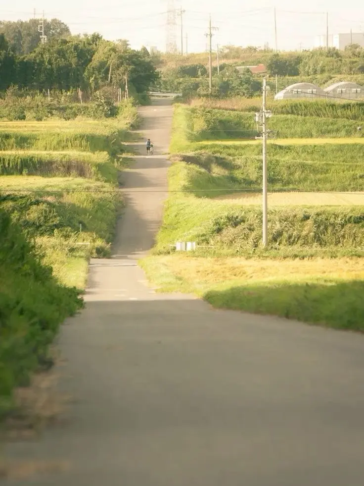 GildedWater4856의 백 현