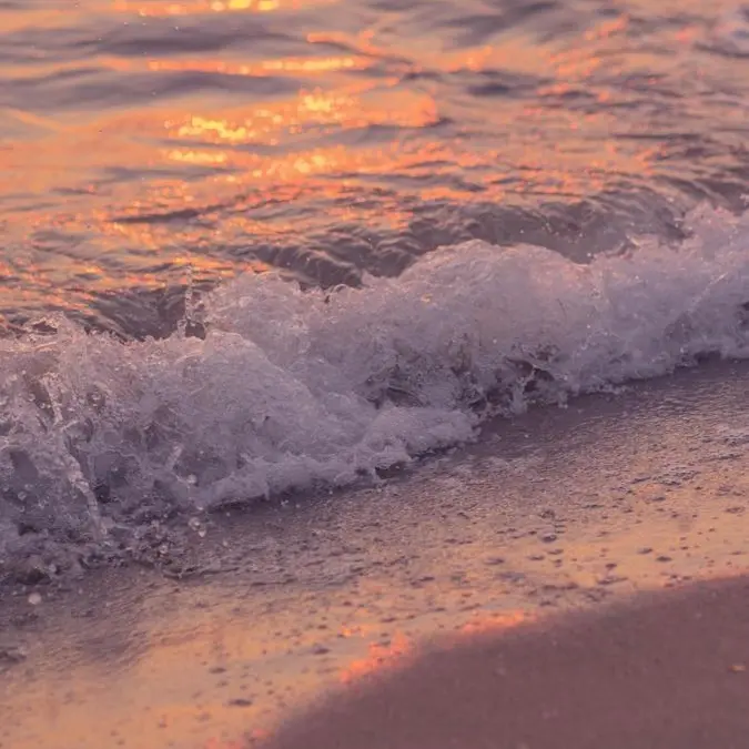 APPLE.APPLE의 박덕개