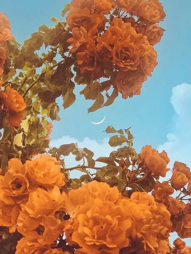 dpxnp의 촬영장에서 남편이 삐졌다면?