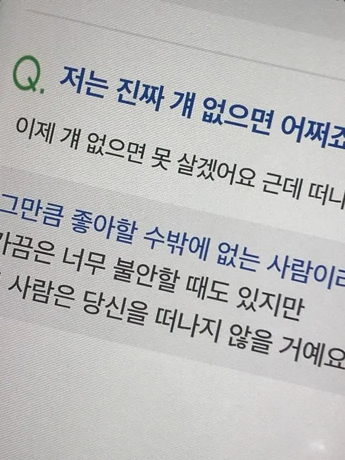 UDDONG의 유지민