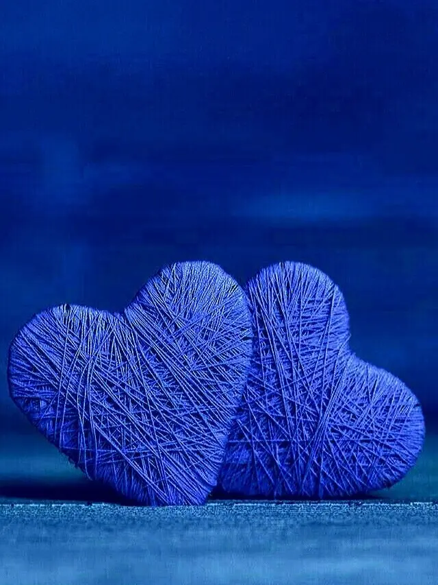 kirari_cello_722의 田中洸希