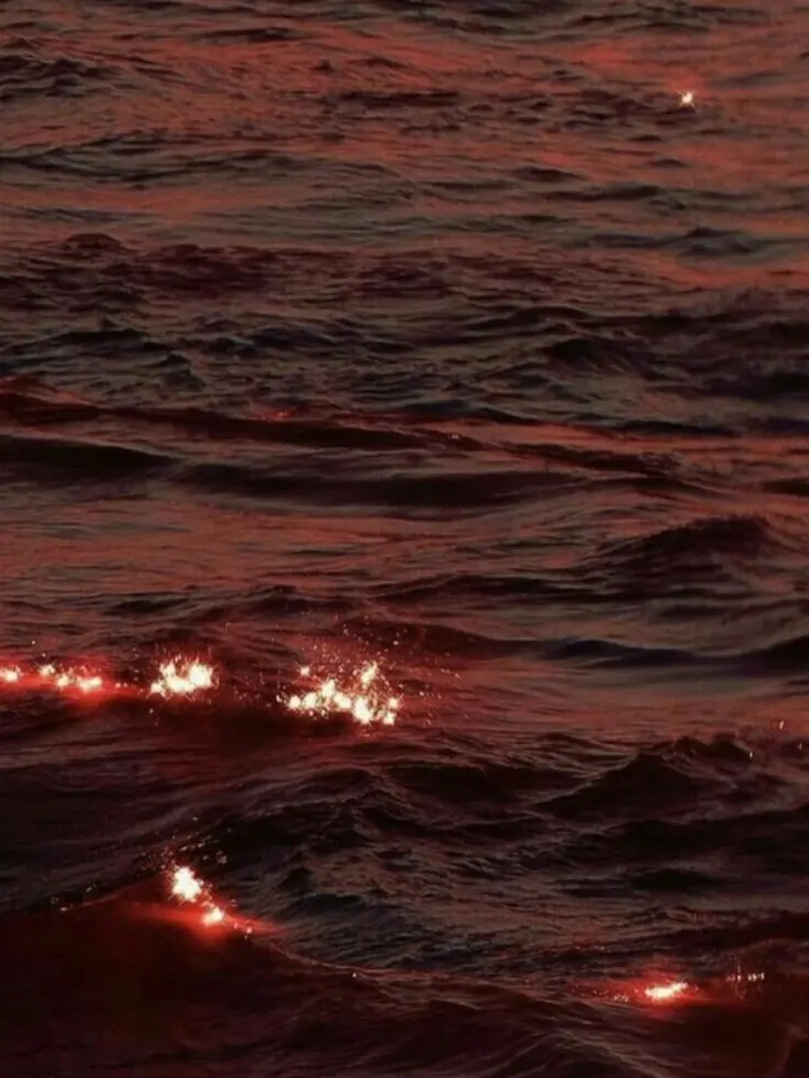 OOO_OOO_O의 最終兵器_彼女