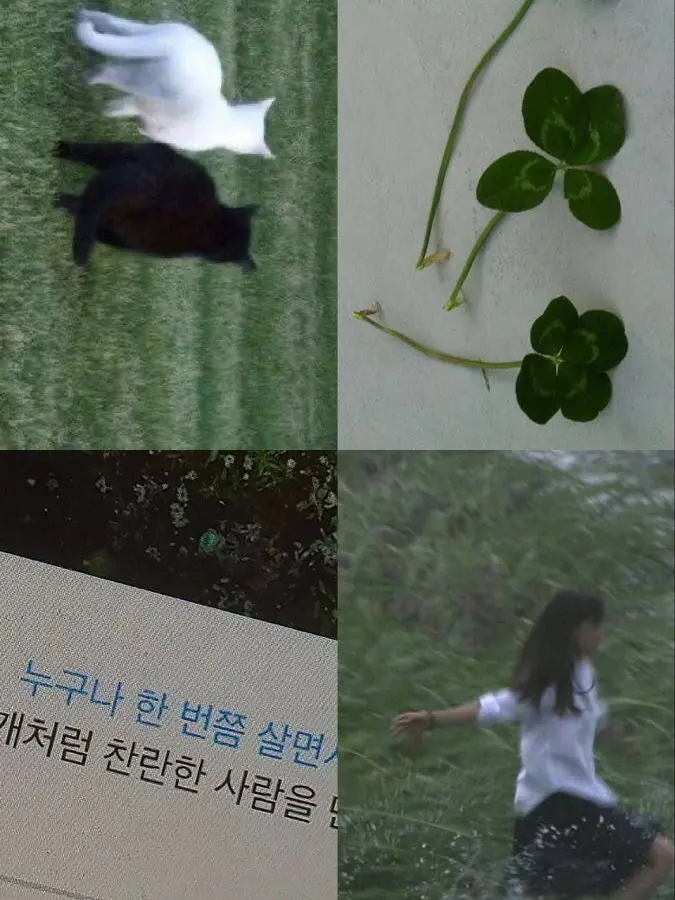 EliteMolly9669의 우리 학교 남녀 무리