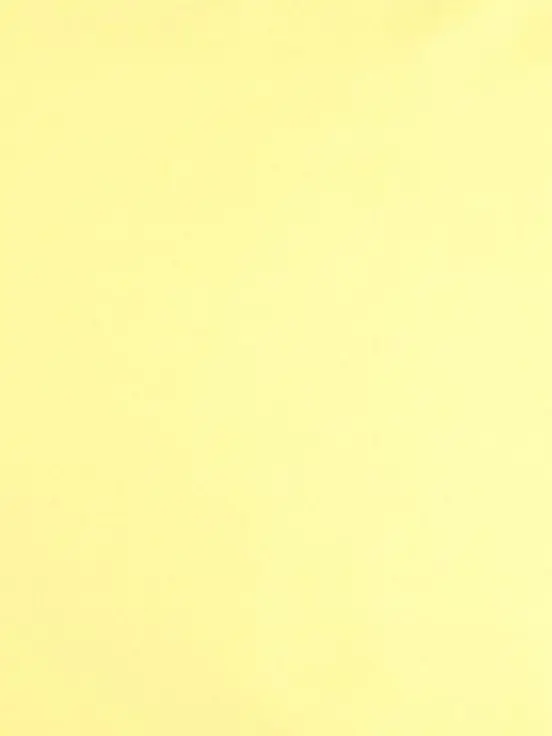 WhiteRisk6299의 5人とのにぎやかな日々