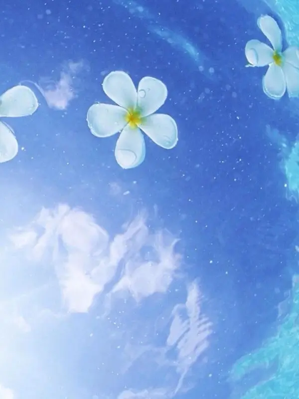 PinkDouc2254의 花畑の誓い