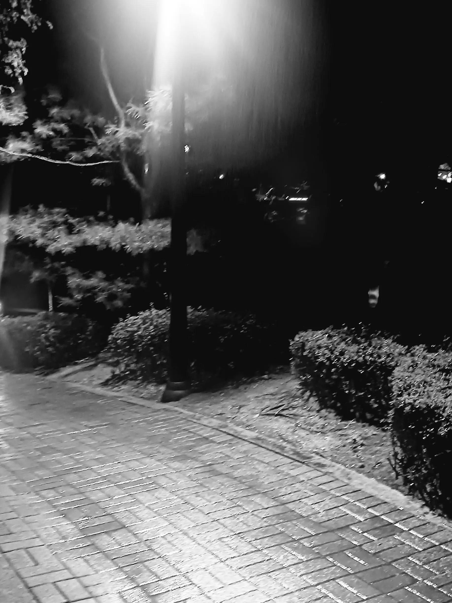 Arbanic_Church의 사채업자로 일하게 되었다.