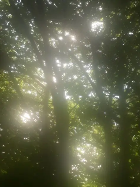 Leave_me_alone.의 청춘의 또 다른 정의는…