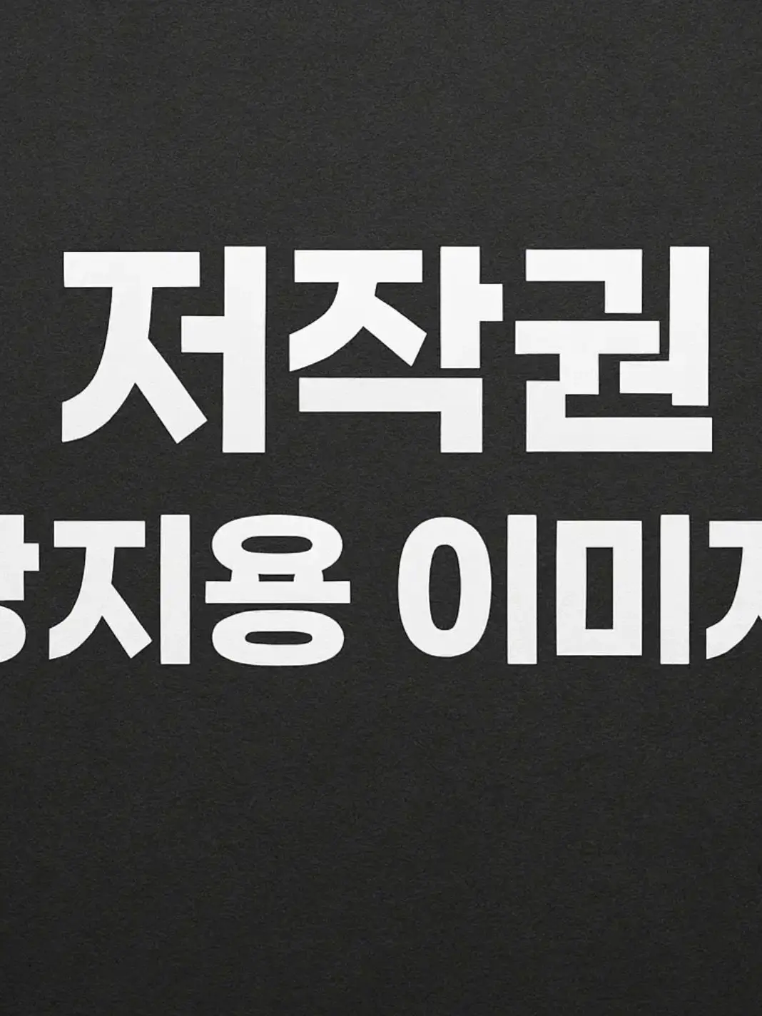 chanfan의 친누나 / 언니 비챤