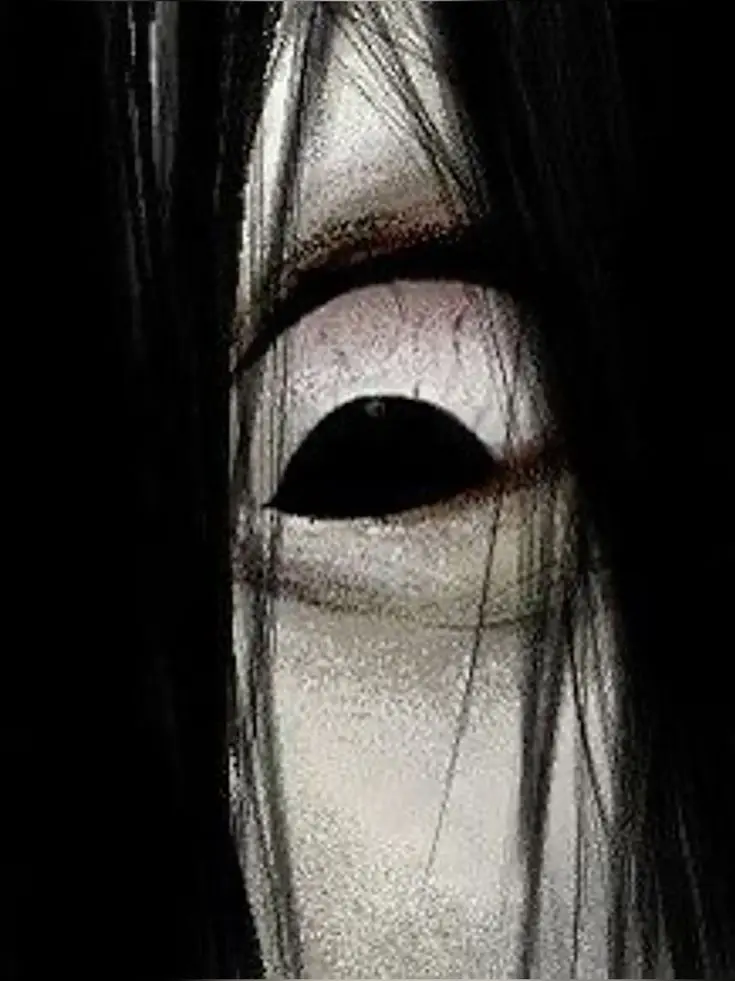 Nightmare1418의 MHA Cursed Tape of Sadako Yamamura