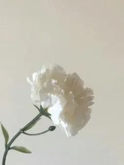 Yuchaea의 "괜찮아 알았지? 걱정하지마"