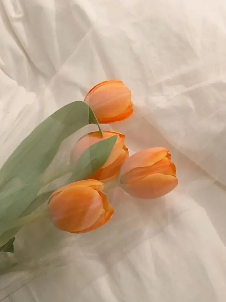 dinosaur_05.20의 뜰팁 중학교