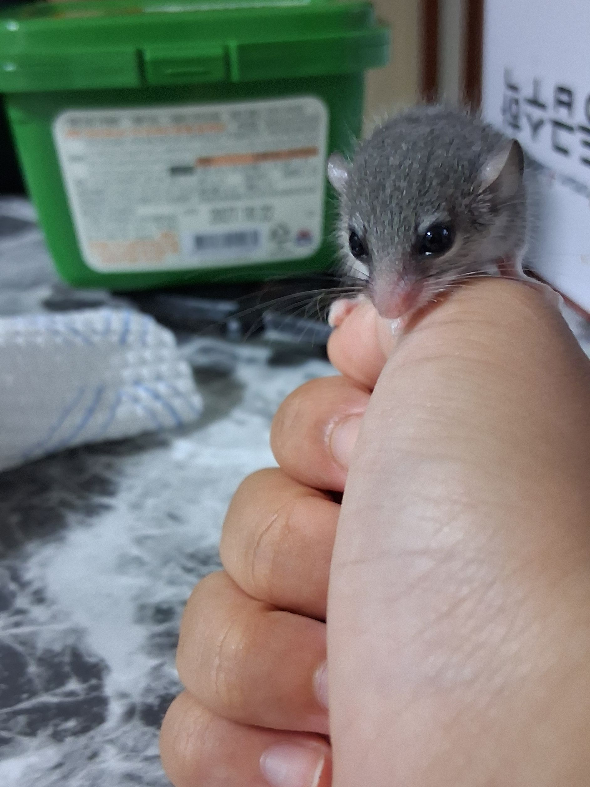 스텔마크 대표 이미지