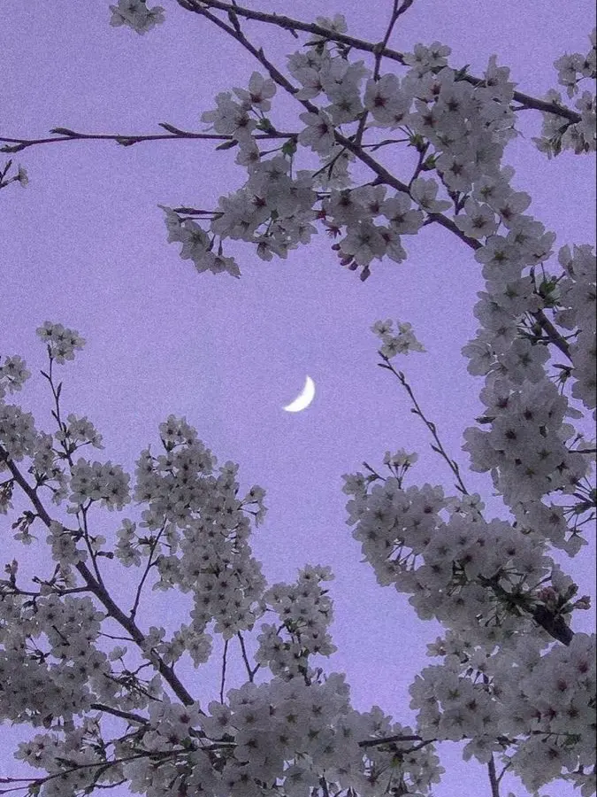 nn_uu의 하드코어