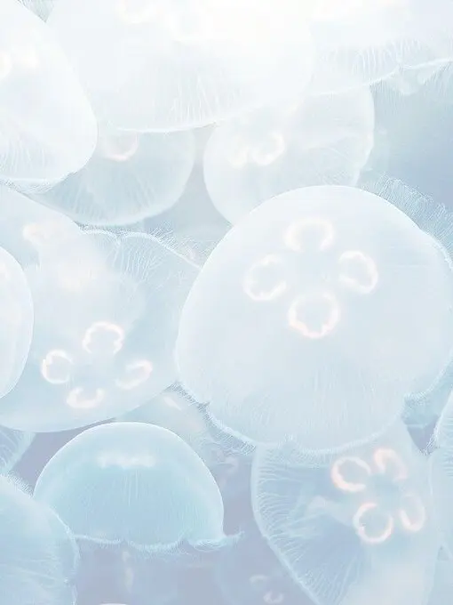 LeanerFlood2263의 송은석