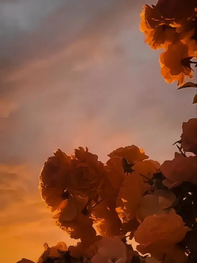 dpxnp의 많이 컸네, 꼬맹이