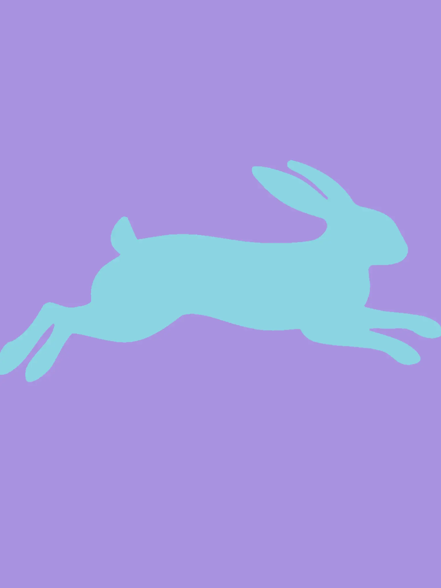 Ame_1의 《 Run Rabbit 》