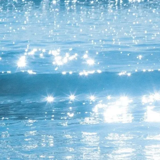 Ddtt의 악어와 홍학