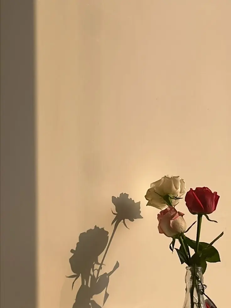 XZ._.의 박지훈