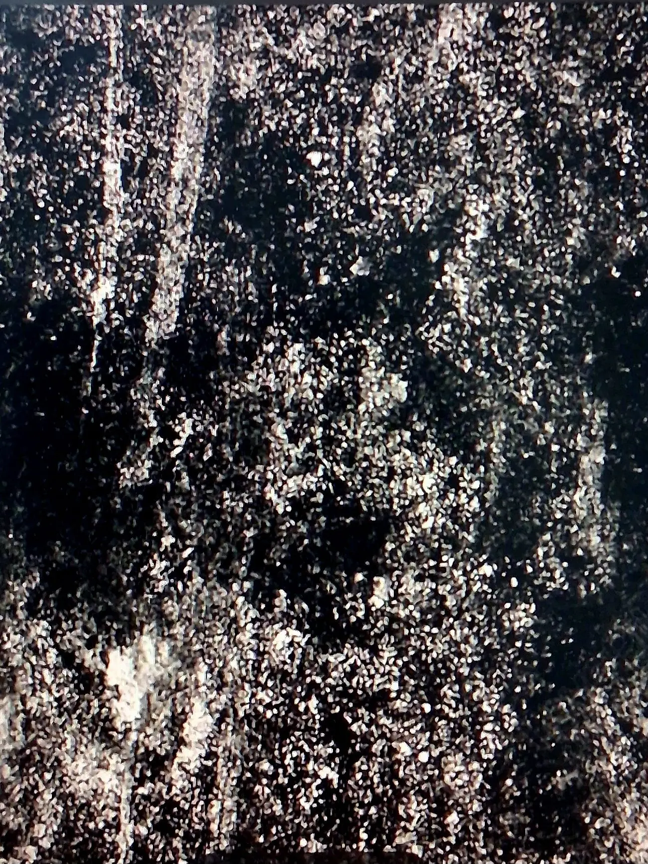 Sahurn109의 "..이곳에서 태어났다면."