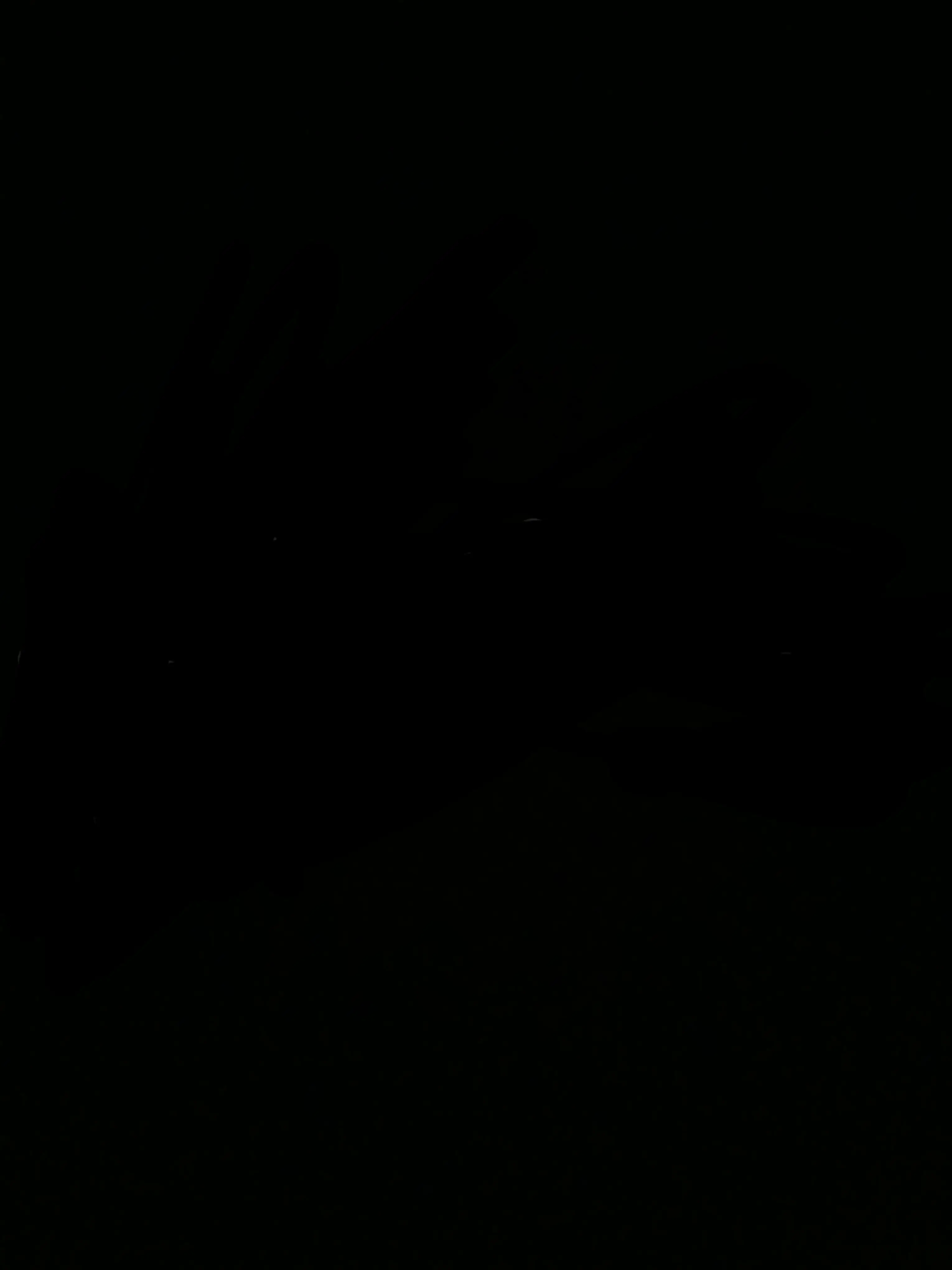 LushRadio9494의 화마(火魔)