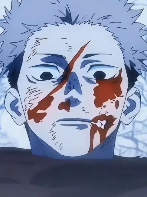 MintyKey1959의 虎杖悠仁