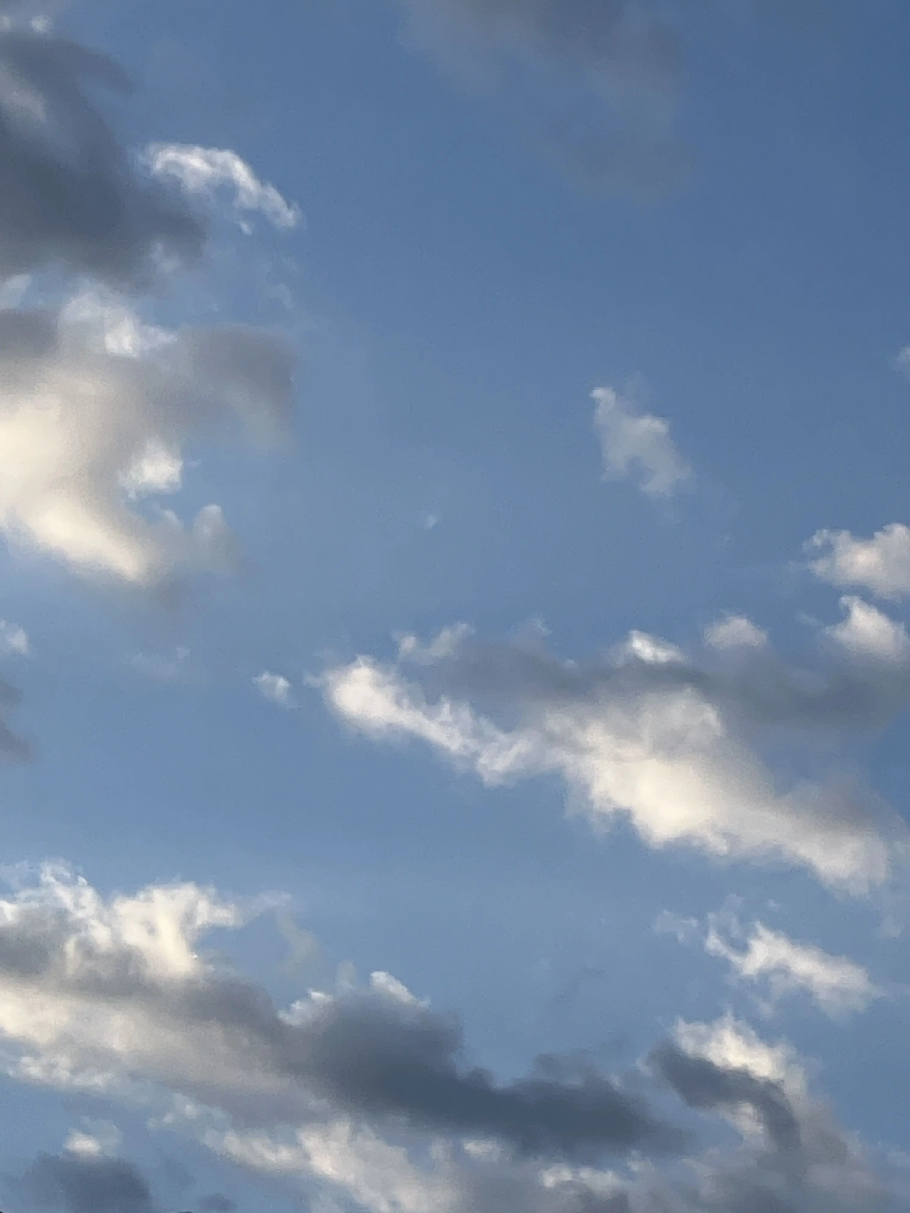 SpicyNews8095의 騒がしい日々