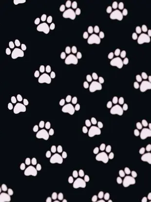 The-real-epic-rory의 🐾 | your online boyfriend/owner 💕