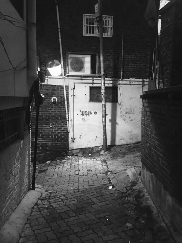 Imnotblyat의 남세진