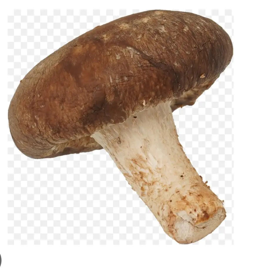 zikkyousyalove의 カオス☆カービィ