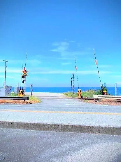 FarMask1511의 夏の亡霊