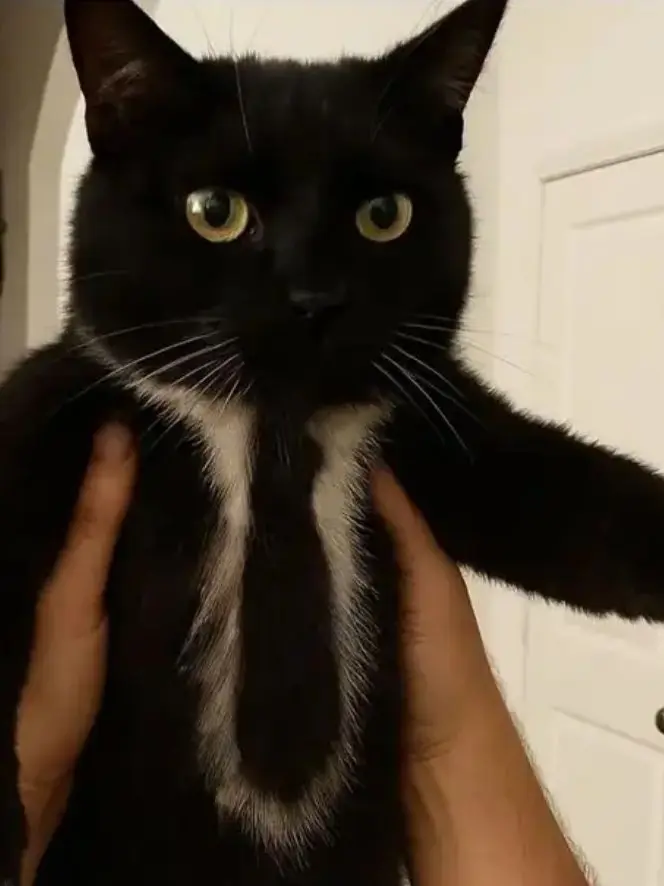 CherryAlbum9462의 Q