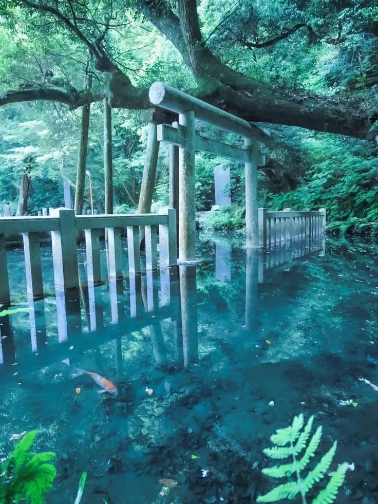 ukone의 𝗔𝘀 𝘆𝗼𝘂 𝗹𝗶𝗸𝗲