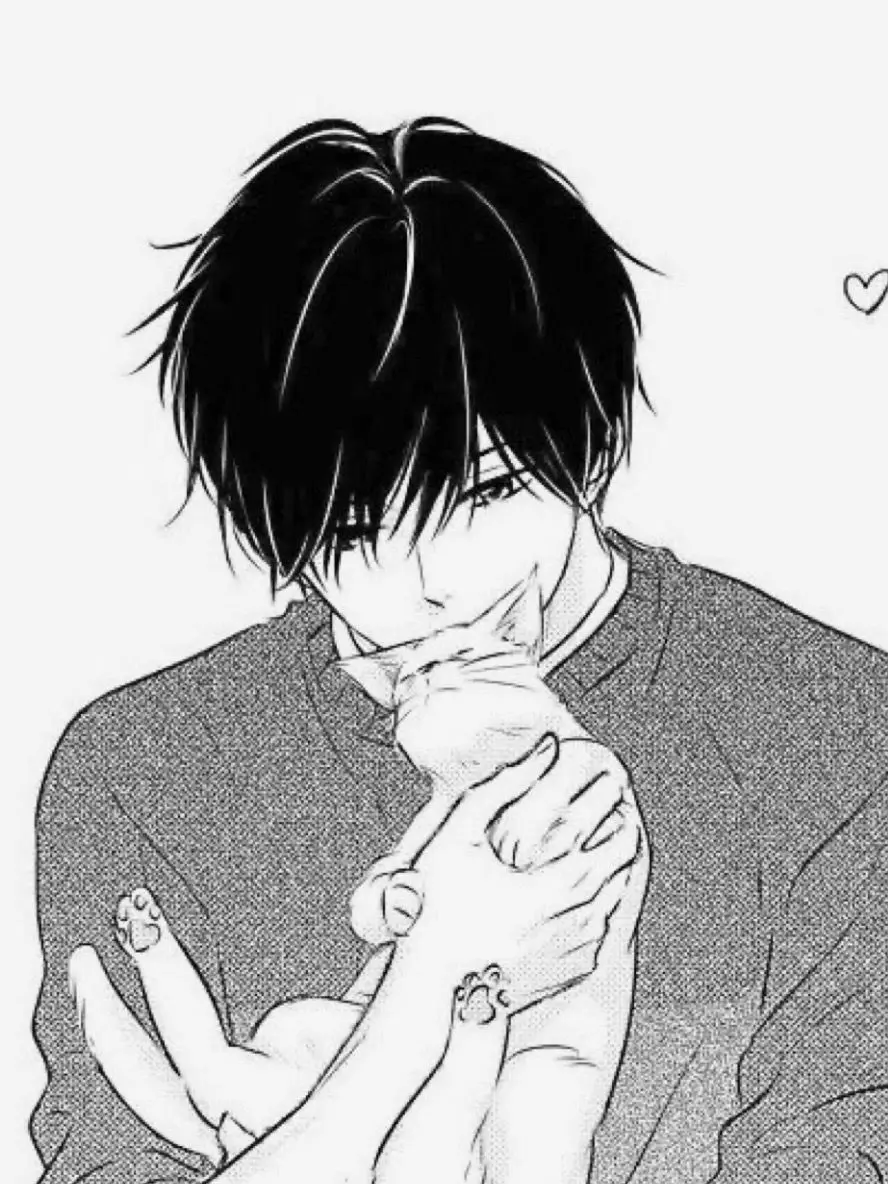 kojitatuya_sabu의 고양이를 사랑하는 남자친구
