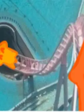 SoggySweat2389의 엉망진창 오컬트부와 함께 놀이공원가기