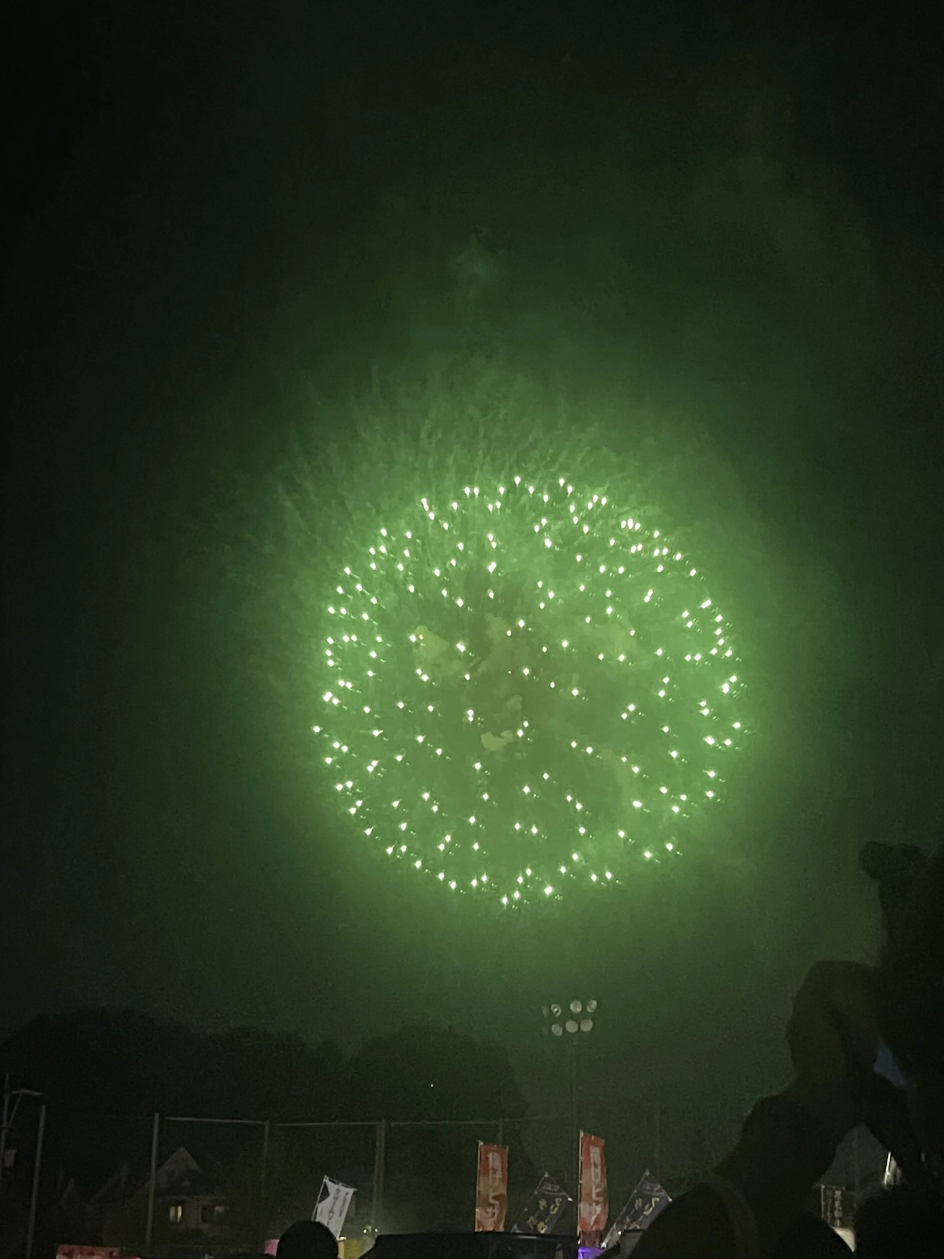 1006._.JH의 サノスとタプがいる！？