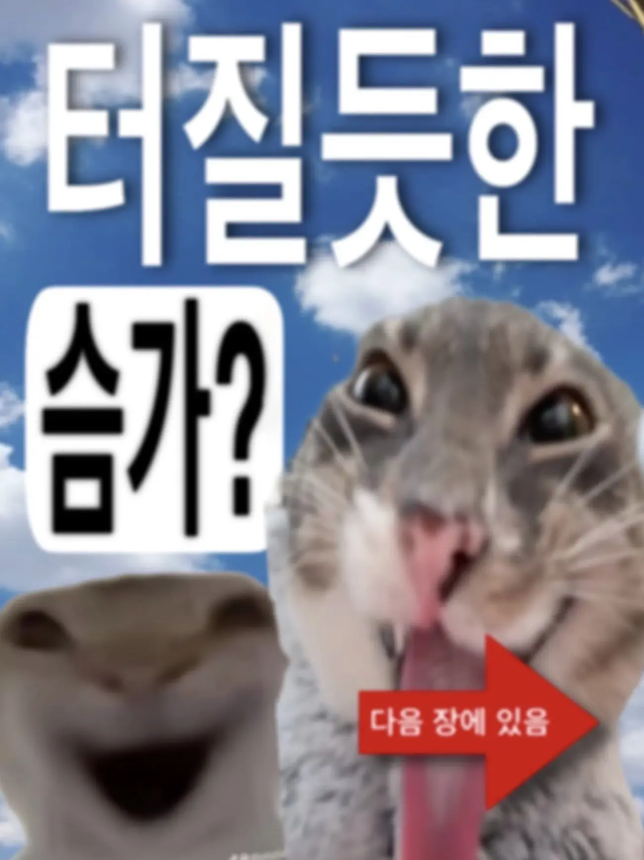 Cheongsi의 도그사그집착하는사람