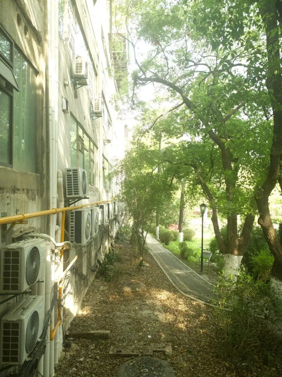 SUSU_SUSU의 흙투성이 감자와 하얀 소금꽃