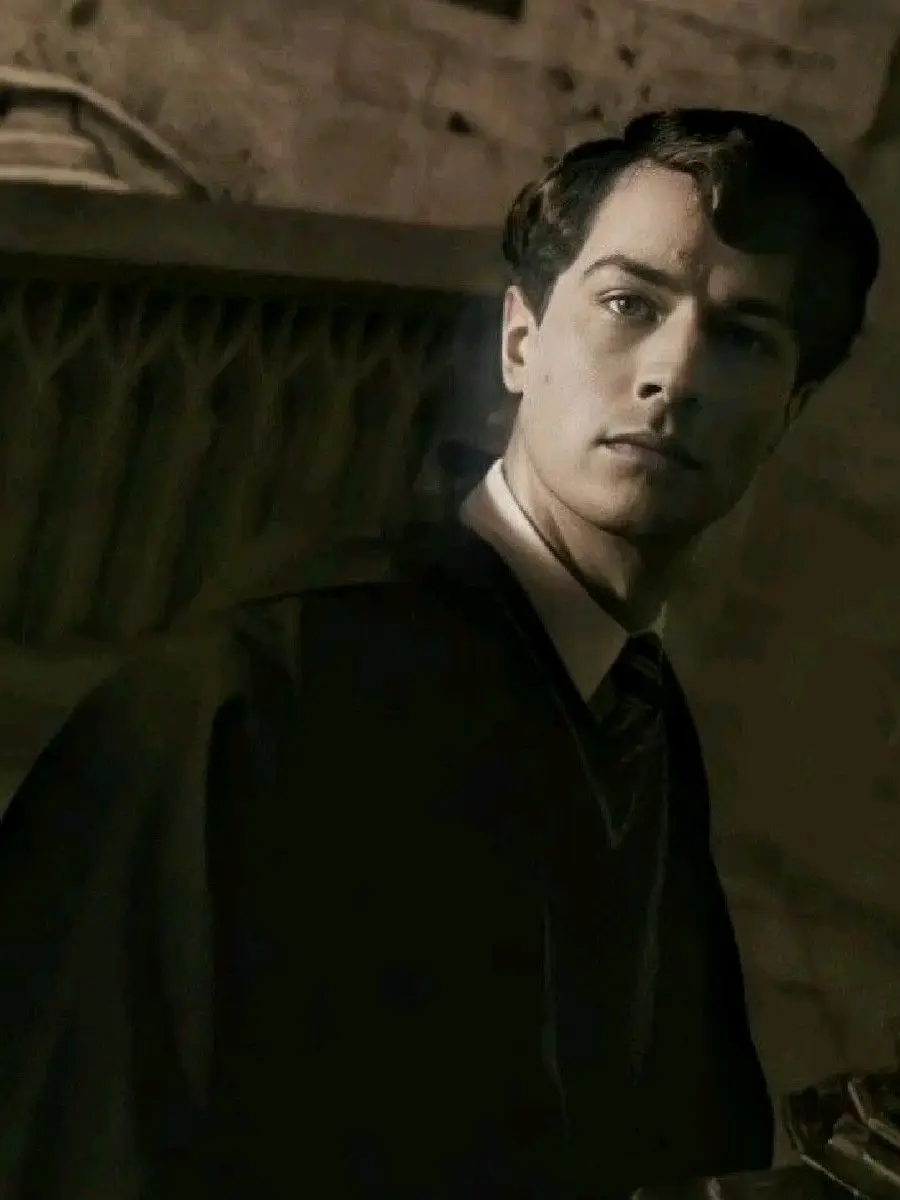 Llooser22의 Tom Riddle