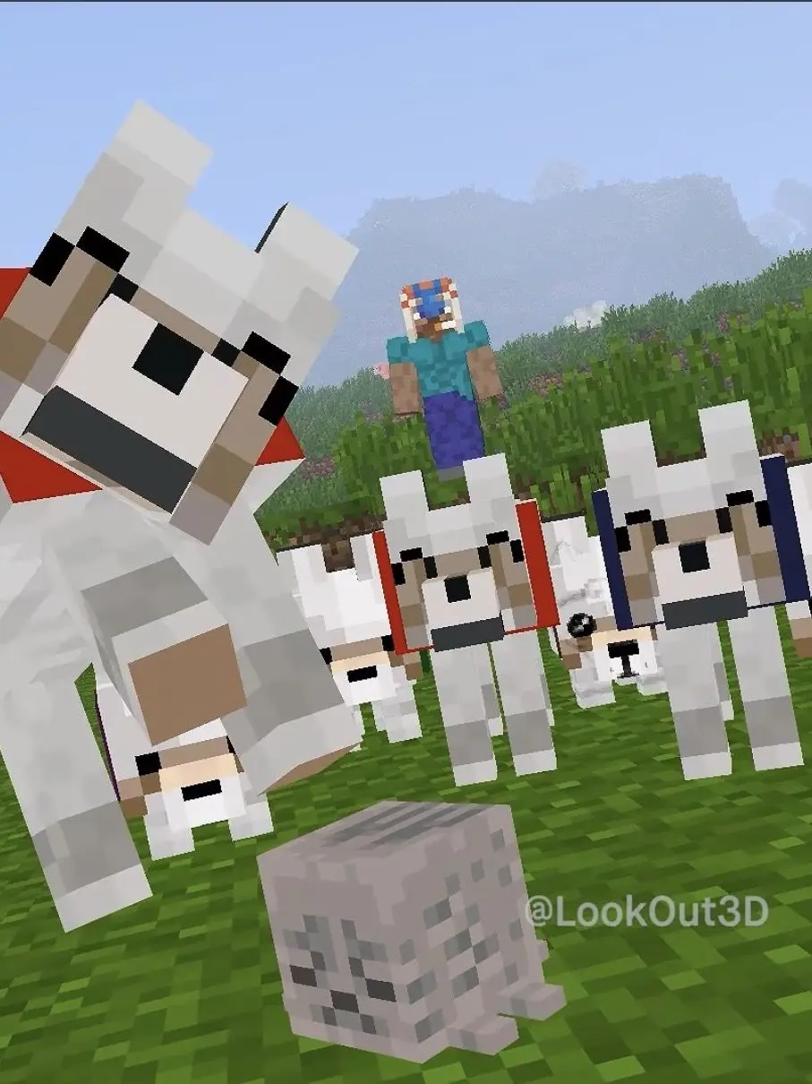 ennda____mann의 LookOut3D님의 반려동물들~!