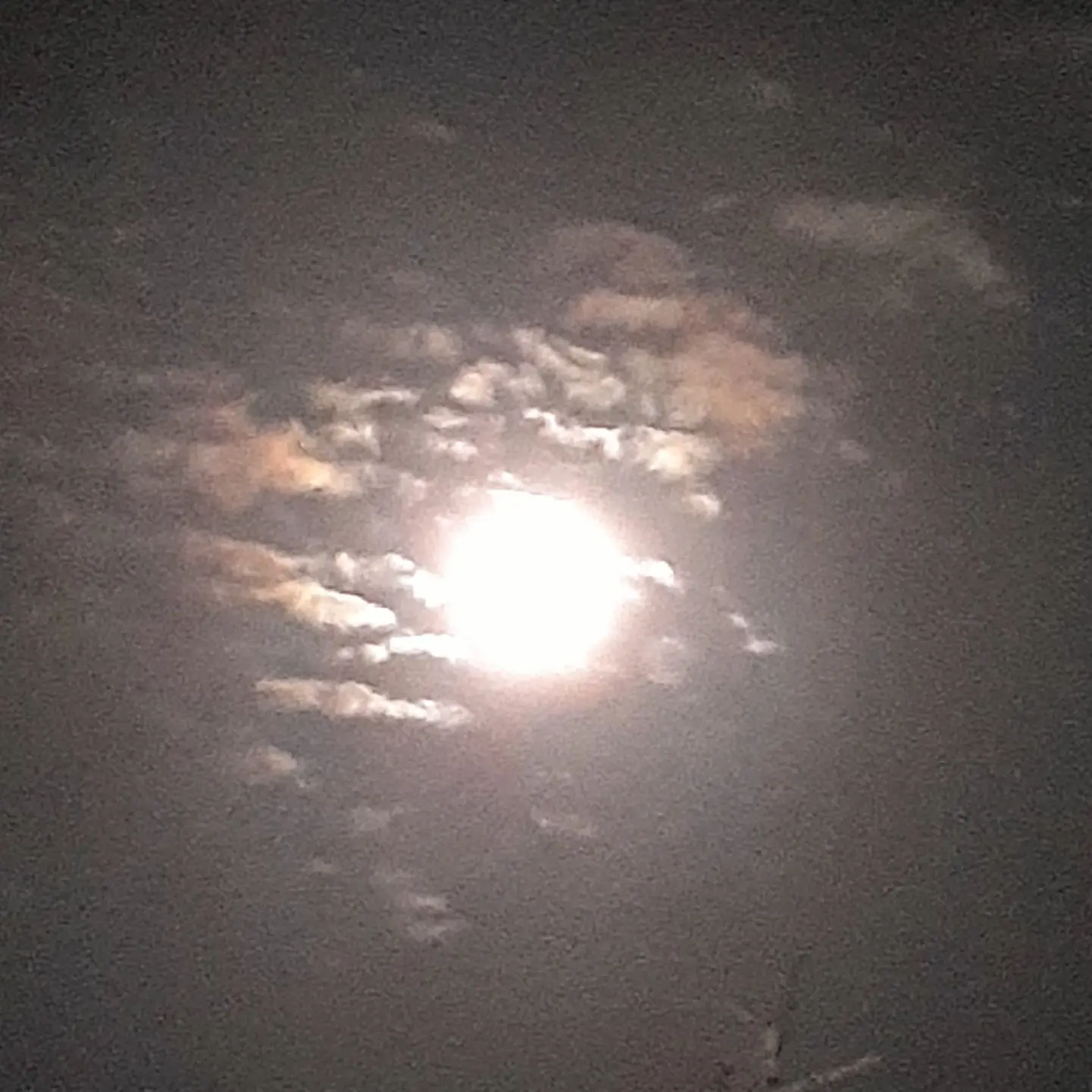 sokorahennohito1260의 上弦ノ弐しのぶVS氷柱童磨