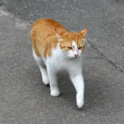 AngstyRoot0672의 애기야 너 좀 귀엽다?