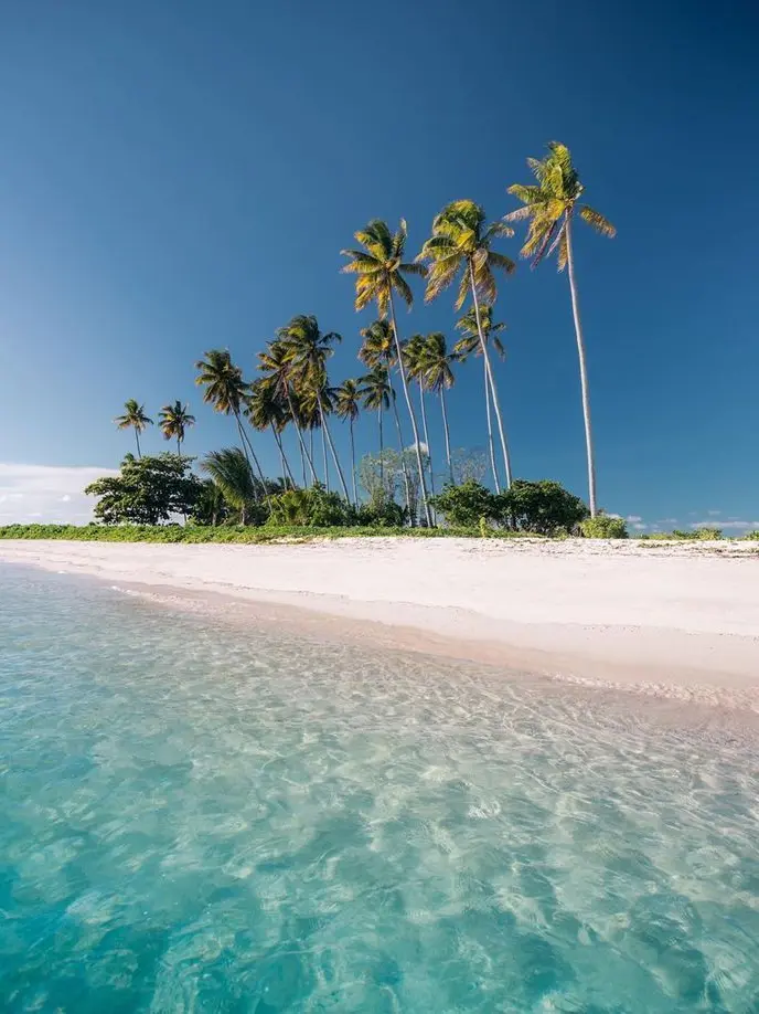 PerkyPeach7962의 10년지기 놈들과의 단톡방