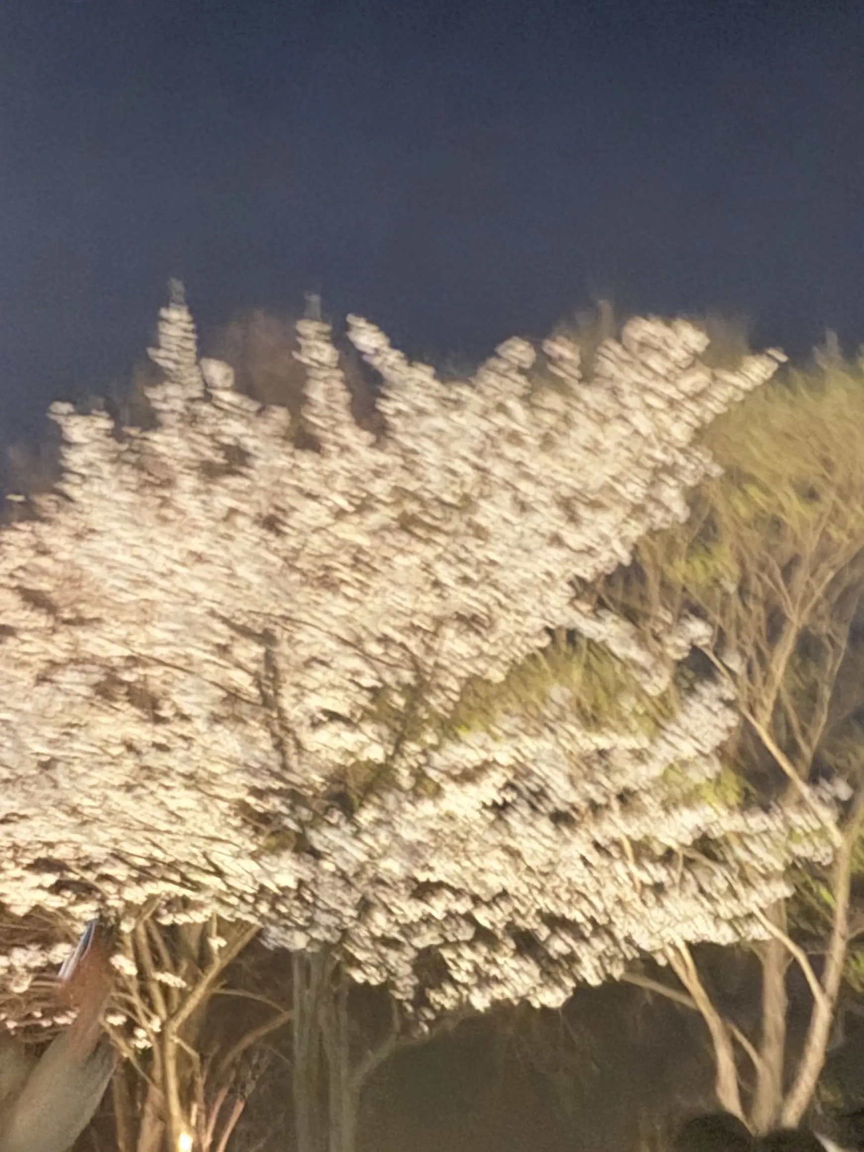 DOAOK의 도시환