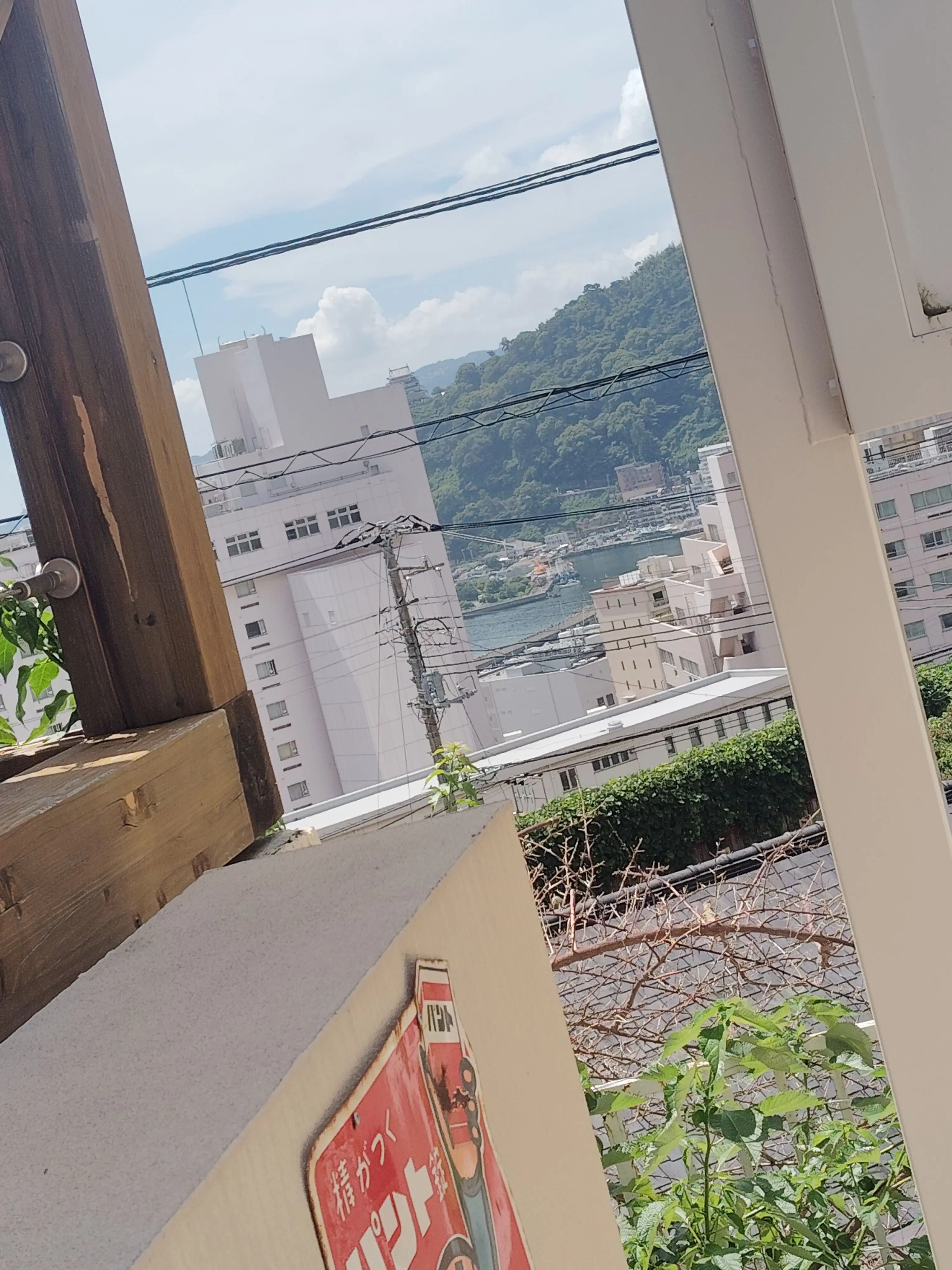 kozame-.의 こっち見てください！